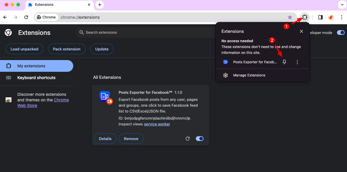 Facebook Posts Extractor chrome extension install pin